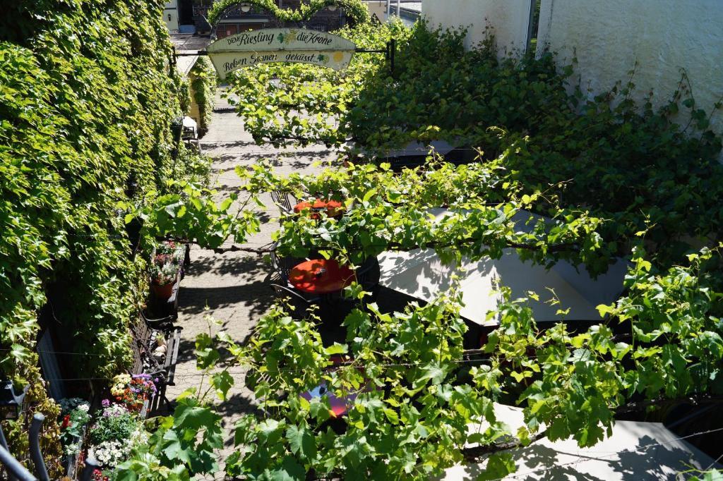 Weingut Haxel Hotel Кохем Екстериор снимка