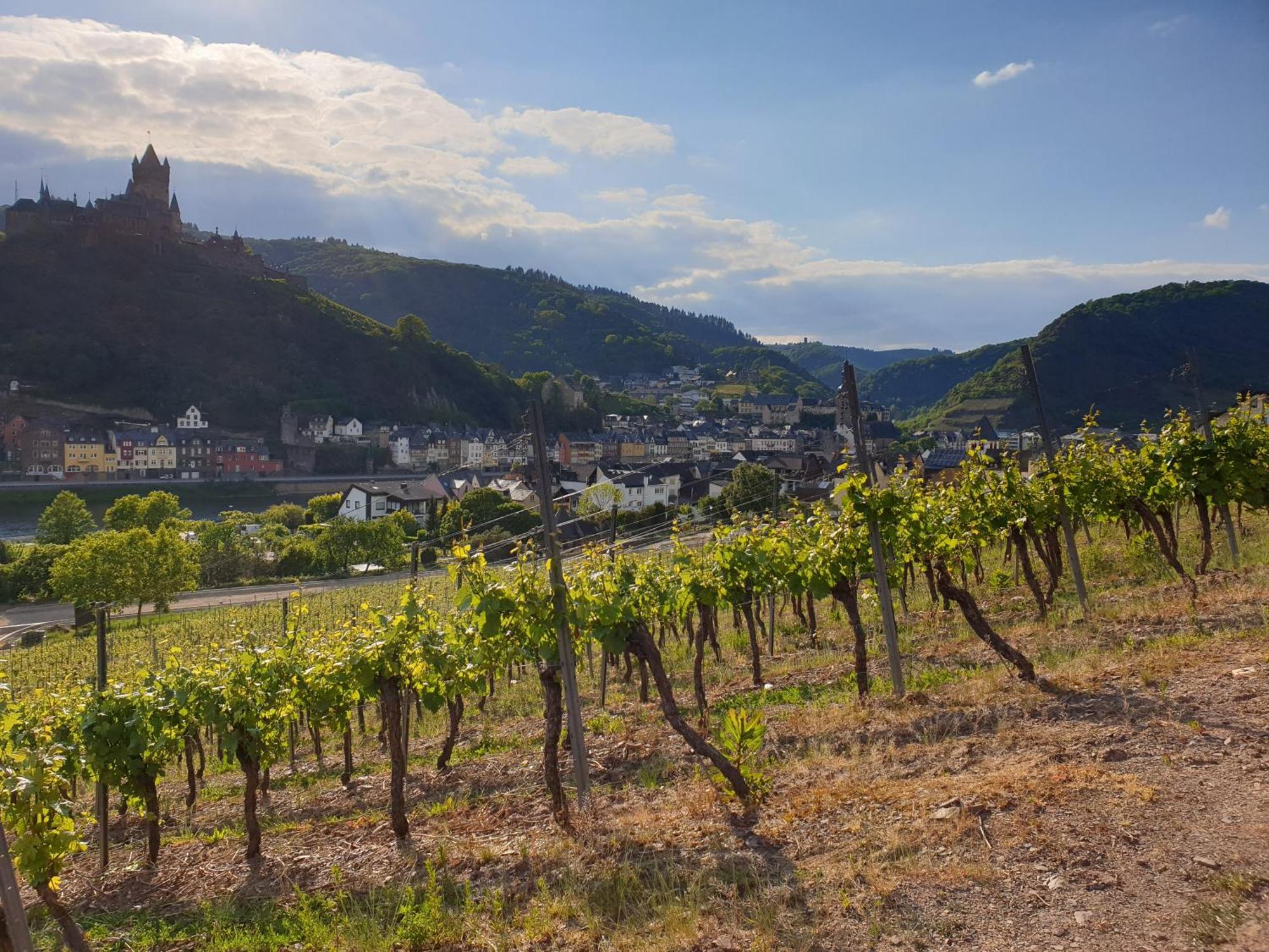Weingut Haxel Hotel Кохем Екстериор снимка